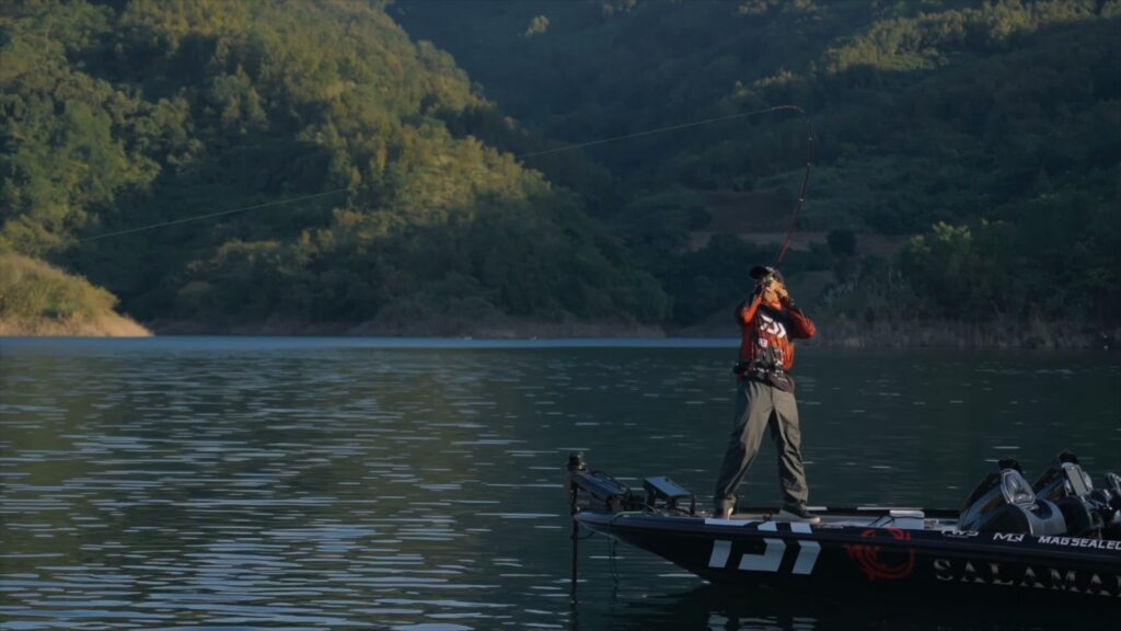 IVY-印象片和产品片